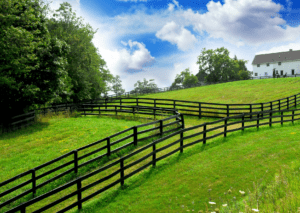 Lush green pasture with fencing and a white farmhouse under a bright sky with fluffy clouds, creating a serene rural scene.