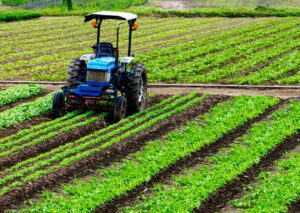 Blue tractor tending to lush vegetable rows, highlighting the need for agriculture insurance to protect farmers' investments.